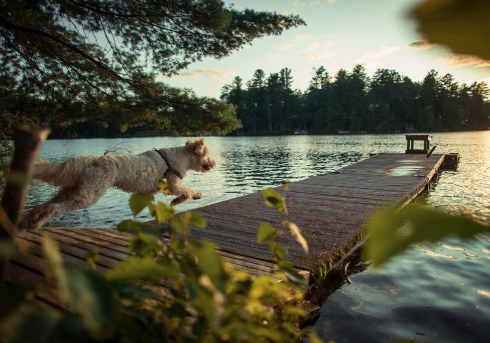 unsplash-image-aZox57cA-eI